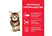 Hills Science Plan Kitten Tuna Сухой корм Хиллс для Котят Тунец 1,5 кг