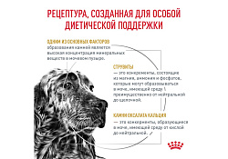 Royal Canin Urinary S O LP18 2 кг