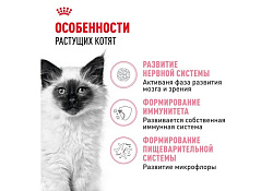 Royal Canin Kitten Сухой корм Роял Канин Киттен для Котят в возрасте от 4 до 12 месяцев 10 кг