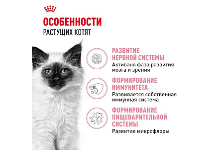Royal Canin Kitten Сухой корм Роял Канин Киттен для Котят в возрасте от 4 до 12 месяцев 1,2 кг