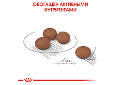 Royal Canin Mini Sensible Digestive Care Сухой корм Роял Канин Мини Сенсибл для собак Мелких пород с Чувствительным пищеварением 1 кг