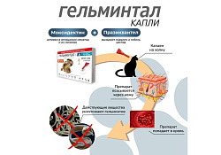 Гельминтал К Spot-on Капли от Гельминтов на холку для кошек весом 4-10 кг 1 х 3 шт