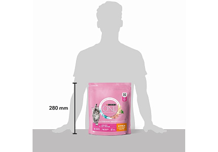 PURINA ONE KITTEN Сухой корм Пурина УАН для котят с курицей 750 г