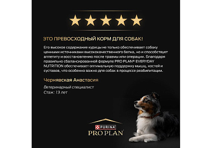 PRO PLAN OPTI BALANCE Сухой корм ПРО ПЛАН для взрослых собак крупных пород с атлетическим телосложением с курицей 14 кг