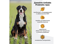 Unitabs Prebiotic Кормовая добавка Юнитабс для кошек и собак Оптимизация пищеварения 100 таб