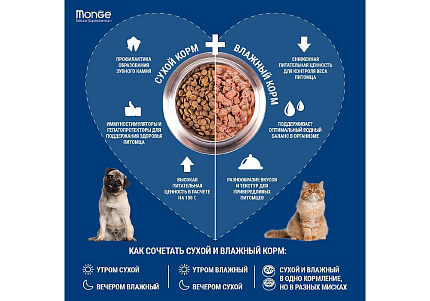 Monge Grill buste Kitten salmone Влажный корм Паучи Монж для Котят Норвежский лосось (цена за упаковку) 85г х 28шт