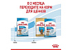 Royal Canin Medium Starter Сухой корм Роял Канин Медиум Стартер для Щенков Средних пород в возрасте до 2 месяцев 12 кг