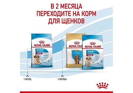 Royal Canin Medium Starter Сухой корм Роял Канин Медиум Стартер для Щенков Средних пород в возрасте до 2 месяцев 12 кг