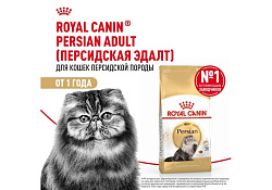 Royal Canin Breed cat British Shorthair Влажный корм (Консервы-Паучи) Роял Канин для кошек породы Британская короткошерстная 85г х 28шт