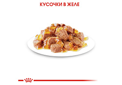Royal Canin Instinctive Jelly Влажный корм (Консервы-Паучи) Роял Канин Инстинктив для Взрослых кошек старше 1 года в Желе (цена за упаковку) 85г х 28шт