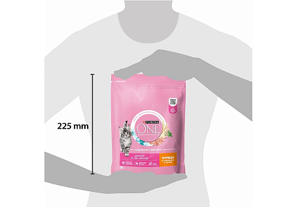 PURINA ONE KITTEN Сухой корм Пурина УАН для котят с курицей 200 г