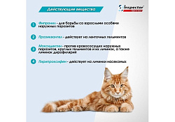 Inspector Quadro К Капли Инспектор от Внешних и Внутренних паразитов для кошек весом от 4 до 8 кг 1 шт