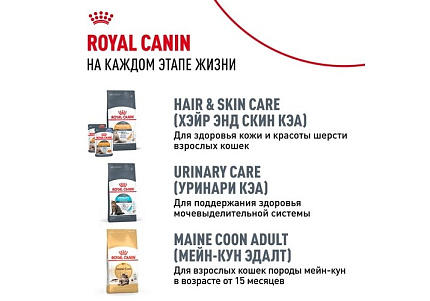 Royal Canin Breed cat Kitten Maine Coon Сухой корм Роял Канин для Котят породы Мэйн Кун в возрасте до 15 месяцев 2 кг
