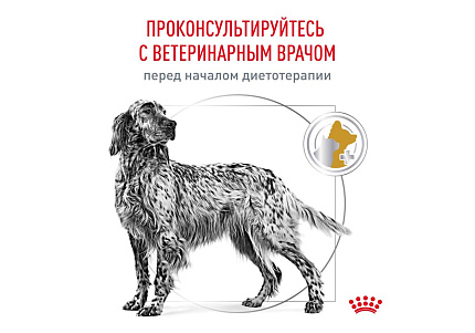 Royal Canin Urinary S O LP18 2 кг
