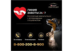 PRO PLAN DELICATE Сухой корм ПРО ПЛАН для котят при чувствительном пищеварении с индейкой 10 кг