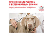 Royal Canin Neutered Adult Small Dog Сухой корм Роял Канин для Кастрированных или Стерилизованных собак Мелких пород 800 г