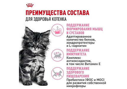 Royal Canin Breed cat Kitten Maine Coon Сухой корм Роял Канин для Котят породы Мэйн Кун в возрасте до 15 месяцев 2 кг