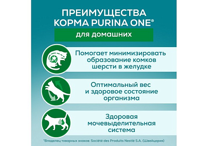 PURINA ONE HOUSECAT Влажный корм Паучи Пурина УАН для взрослых кошек при домашнем образе жизни с курицей (цена за упаковку) 75г х 26шт