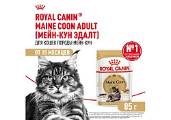 Royal Canin Breed cat Maine Coon Влажный корм (Консервы-Паучи) Роял Канин для кошек породы Мэйн Кун 85г х 28шт