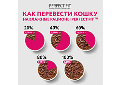 Perfect Fit Hair & Skin Паучи Перфект Фит для кошек для Красивой шерсти и здоровой кожи Индейка в соусе (цена за упаковку) 75г х 28шт