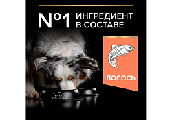 PRO PLAN OPTI DERMA Сухой корм ПРО ПЛАН для взрослых собак средних пород при чувствительной коже с лососем 7 кг PRO PLAN OPTI DERMA Сухой корм ПРО ПЛАН для взрослых собак средних пород при чувствительной коже с лососем 7 кг