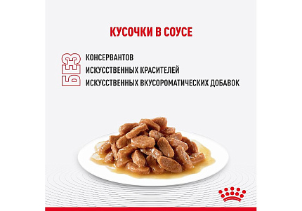 Royal Canin Breed Kitten Maine Coon Влажный корм (Консервы-Паучи) Роял Канин для Котят породы Мэйн Кун в возрасте до 15 месяцев (цена за упаковку) 85г х 28шт