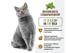 Unitabs SterilCat paste с Q10 Витаминно-минеральная паста Юнитабс для Стерилизованных кошек и Кастрированных котов 120 мл