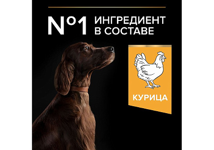 PRO PLAN OPTI BALANCE Сухой корм ПРО ПЛАН для взрослых собак крупных пород с атлетическим телосложением с курицей 14 кг