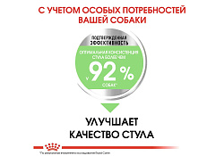 Royal Canin Mini Sensible Digestive Care Сухой корм Роял Канин Мини Сенсибл для собак Мелких пород с Чувствительным пищеварением 1 кг
