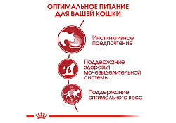 Royal Canin Instinctive Jelly Влажный корм (Консервы-Паучи) Роял Канин Инстинктив для Взрослых кошек старше 1 года в Желе (цена за упаковку) 85г х 28шт