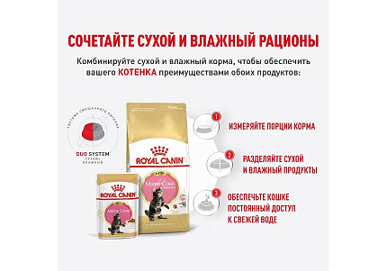 Royal Canin Breed Kitten Maine Coon Влажный корм (Консервы-Паучи) Роял Канин для Котят породы Мэйн Кун в возрасте до 15 месяцев (цена за упаковку) 85г х 28шт