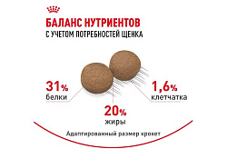 Royal Canin Mini Puppy Сухой корм Роял Канин Мини Паппи для Щенков Мелких пород в возрасте от 2 до 10 месяцев 4 кг