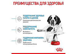 Royal Canin Giant Starter Сухой корм Роял Канин Джайнт Стартер для Щенков Гигантских пород в возрасте до 2 месяцев 4 кг