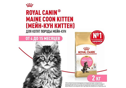 Royal Canin Breed cat Kitten Maine Coon Сухой корм Роял Канин для Котят породы Мэйн Кун в возрасте до 15 месяцев 2 кг