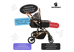 Mr.Kranch Коляска Мистер Кранч прогулочная с амортизацией для собак и кошек разноцветная 70 х 49 х 105 см