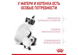 Royal Canin Mother & Babycat Сухой корм Роял Канин Бэйбикэт для Котят в возрасте от 1 до 4 месяцев 400 г