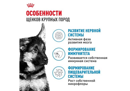 Royal Canin Maxi Puppy Сухой корм Роял Канин Макси Паппи для Щенков Крупных пород в возрасте от 2 до 15 месяцев 3 кг