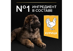 PRO PLAN OPTI START Сухой корм ПРО ПЛАН для щенков крупных пород с мощным телосложением с курицей 12 кг