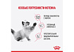 Royal Canin Kitten Sterilised Jelly Влажный корм (Консервы-Паучи) Роял Канин Киттен Стерилайзд для Стерилизованных Котят в возрасте от 6 до 12 месяцев в Желе (цена за упаковку) 85г х 28шт