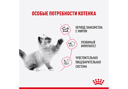Royal Canin Kitten Sterilised Jelly Влажный корм (Консервы-Паучи) Роял Канин Киттен Стерилайзд для Стерилизованных Котят в возрасте от 6 до 12 месяцев в Желе (цена за упаковку) 85г х 28шт