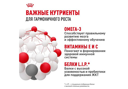 Royal Canin Medium Puppy Сухой корм Роял Канин Медиум Паппи для Щенков Средних пород в возрасте от 2 до 12 месяцев 14 кг