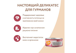 Мнямс Delicatesse Влажный корм Консервы для кошек Паштет по-валлийски Ягненок с морковью (цена за упаковку) 100г х 16шт