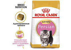 Royal Canin Breed cat Kitten Persian Сухой корм Роял Канин для Котят Персидской породы в возрасте от 4 до 12 месяцев 400 г Royal Canin Breed cat Kitten Persian Сухой корм Роял Канин для Котят Персидской породы в возрасте от 4 до 12 месяцев 400 г