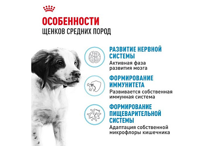 Royal Canin Medium Puppy Сухой корм Роял Канин Медиум Паппи для Щенков Средних пород в возрасте от 2 до 12 месяцев 14 кг
