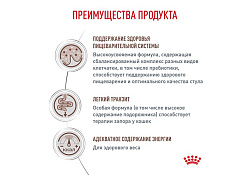 Royal Canin Gastrointestinal Fibre Response Ветеринарный сухой корм Роял Канин Фибр Респонс для кошек Нарушения пищеварения (запоры) 350 г