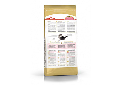 Royal Canin Breed cat Kitten Persian Сухой корм Роял Канин для Котят Персидской породы в возрасте от 4 до 12 месяцев 400 г Royal Canin Breed cat Kitten Persian Сухой корм Роял Канин для Котят Персидской породы в возрасте от 4 до 12 месяцев 400 г