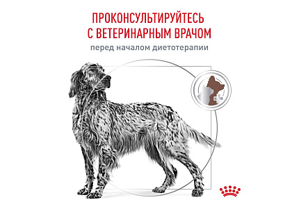 Royal Canin Hepatic HF16 Ветеринарный сухой корм Роял Канин Гепатик для собак Заболевание печени Пироплазмоз 6 кг