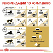 Сухой корм Royal Canin Sphynx Adult для взрослых кошек породы Сфинкс, 2 кг