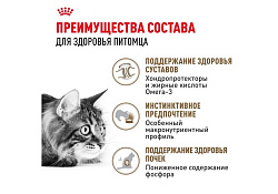 Royal Canin Ageing 12+ Jelly Влажный корм (Консервы-Паучи) Роял Канин Эйжинг для Пожилых кошек старше 12 лет в Желе (цена за упаковку) 85г х 28шт