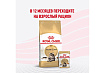 Royal Canin Breed Kitten Maine Coon Влажный корм (Консервы-Паучи) Роял Канин для Котят породы Мэйн Кун в возрасте до 15 месяцев (цена за упаковку) 85г х 28шт